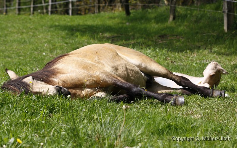14.51 Hjoerdis 3 Minut alt (2).JPG